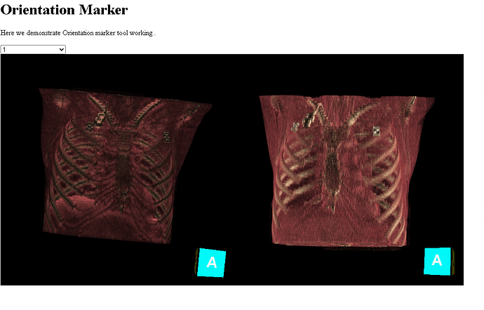 Screenshot 2026-03-09 141536